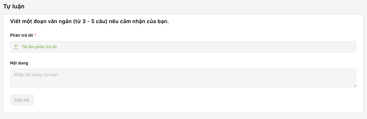 tra_loi_tu_luan.png